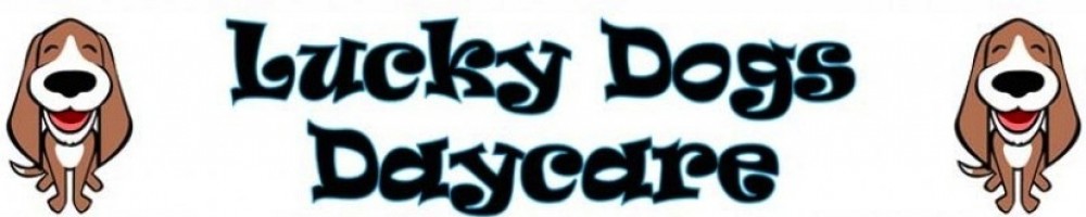 lucky puppy daycare home lucky dogs daycare lucky puppy daycare home lucky dogs daycare